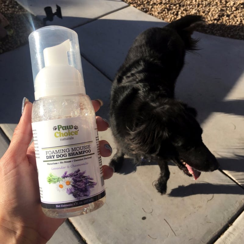 Dry Shampoo For Dogs No Rinse Waterless Foam Bath Paw Choice®